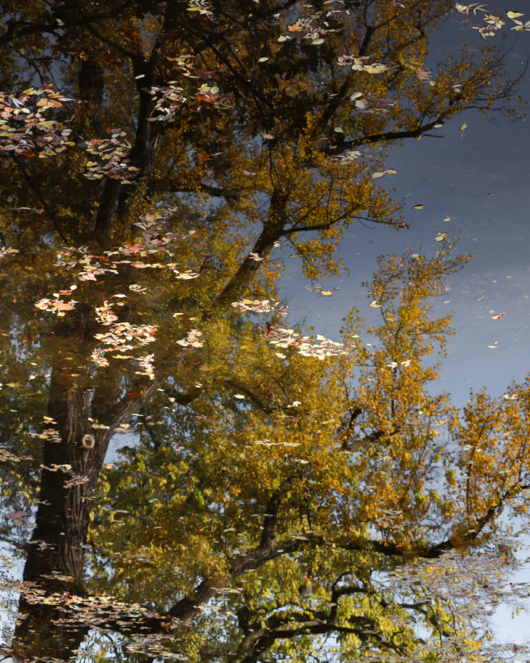 Levelek és tükörképek